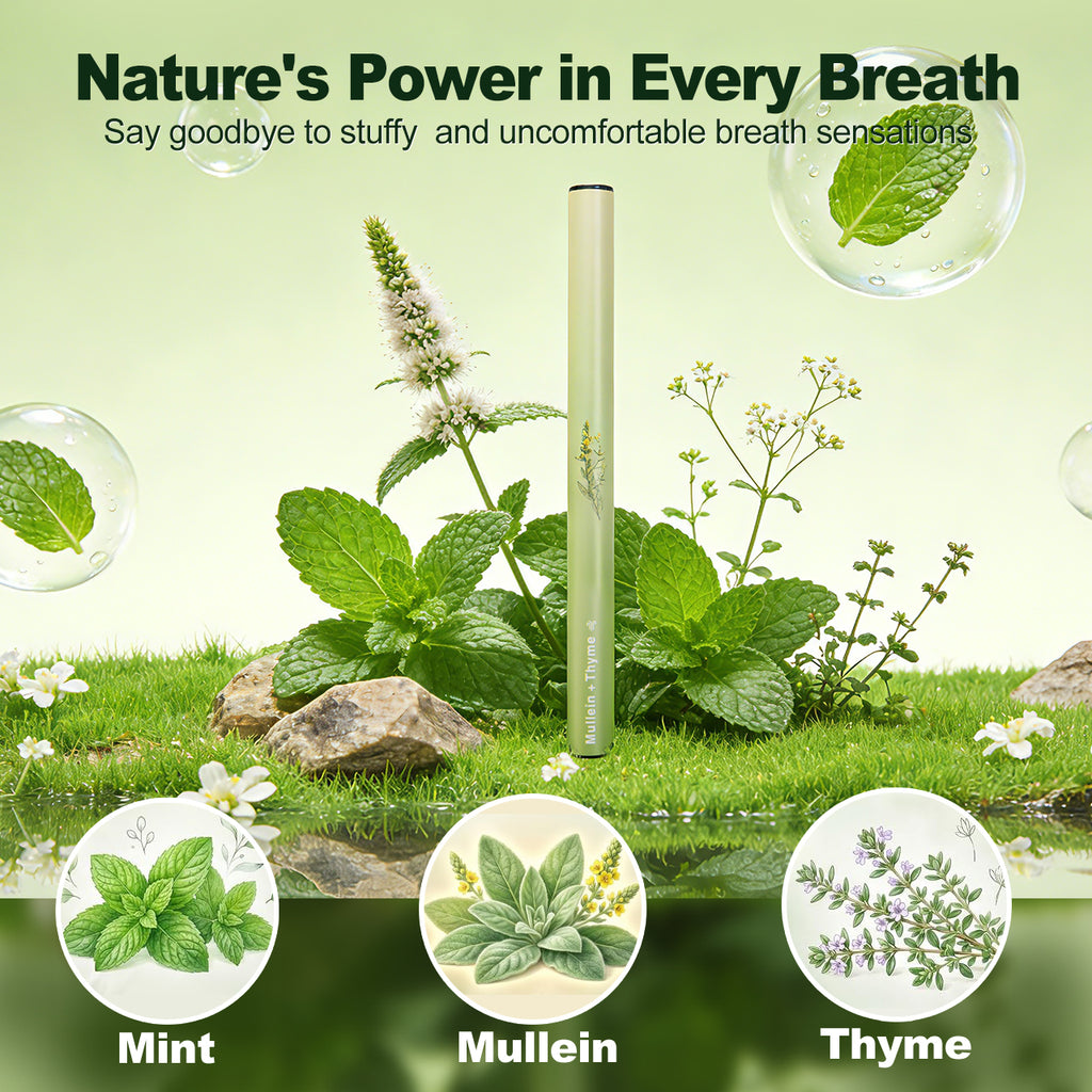 HOLYMOLY Mullein and Thyme herbal diffuser with natural Mint and Thyme botanical ingredients for comfortable breathing