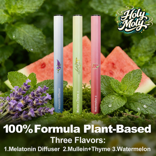 HOLYMOLY B Bundle 3-pack portable herbal ritual trio with Mint, Melatonin, and Watermelon flavors