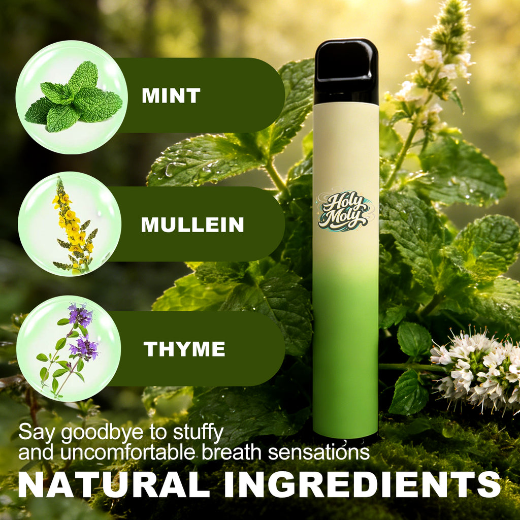 HOLYMOLY herbal diffuser with natural ingredients including Menthol, Mullein, and Thyme for smooth breath sensations