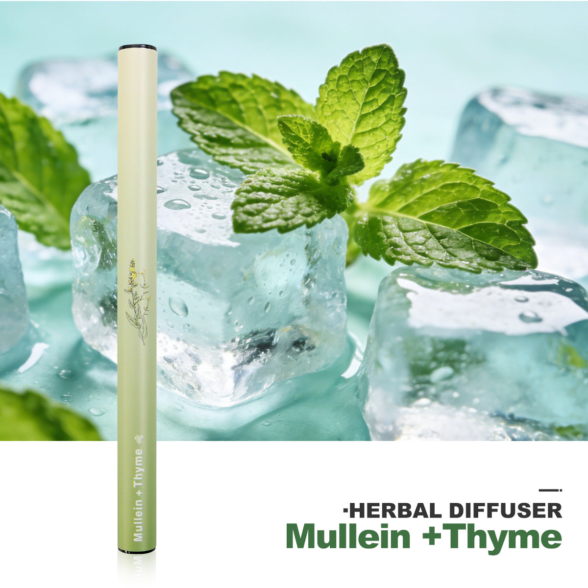 HOLYMOLY B Mullein plus Thyme herbal diffuser with natural plant extracts and mint